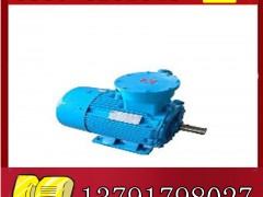 YBK2-315L2-4늙C(j)SֱNչr**