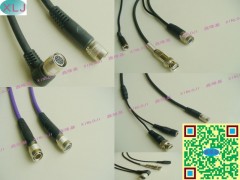 SONYCCDI(y)C 12Pҕlþ|