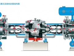 DW-100/8 2D12-100/8 sC