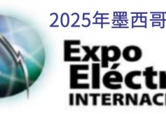 2025īԪչ[